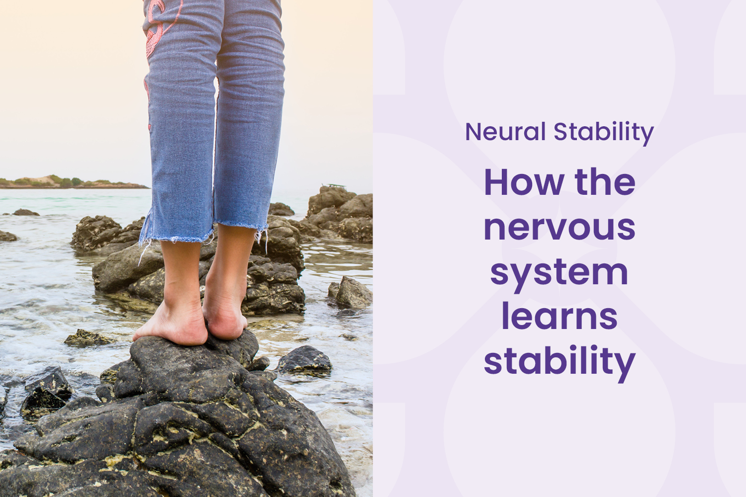 How Your Nervous System Learns Stability