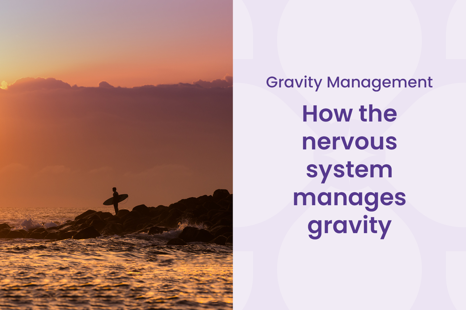How Your Nervous System Works With Gravity 