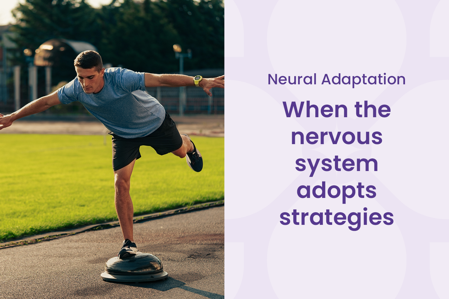 The Moment the Nervous System Chooses a New Strategy